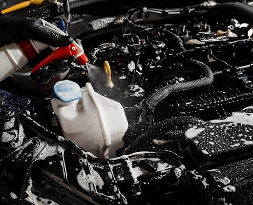 Motor sendo lavado com produtos específicos